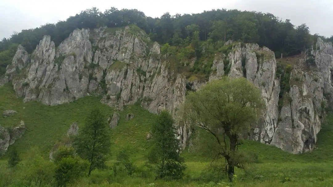 Finanțare gigant pentru Scarlet: 50 de milioane de dolari pentru accelerarea softurilor medicale