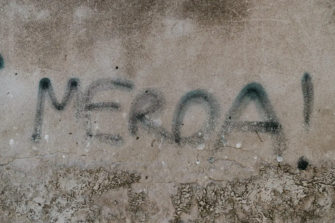 De ce mă întorc mereu la renderizarea software